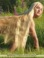 Cow Girl