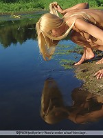 Golden Shine