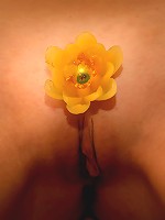 Nouva Erotic Femme