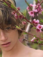 Abby Blossoms