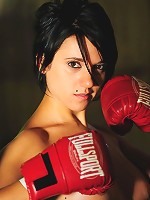 The Boxer 1