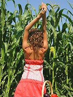 Naked Corn