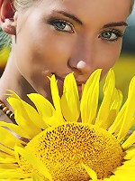 Tournesol