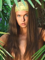 JUNGLE