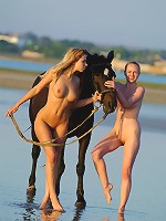 STALLION