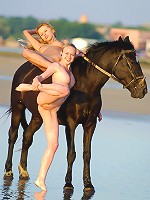 STALLION