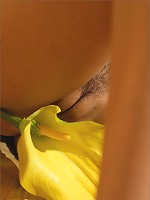 Masha | Calla Lily